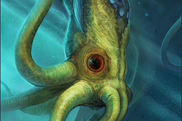 Kraken 12 at