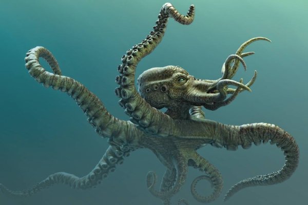 Kraken dark market