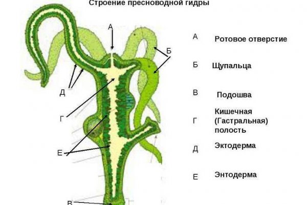 Кракен маркет даркнет только через