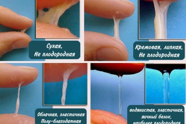 Ссылки сайтов даркнета