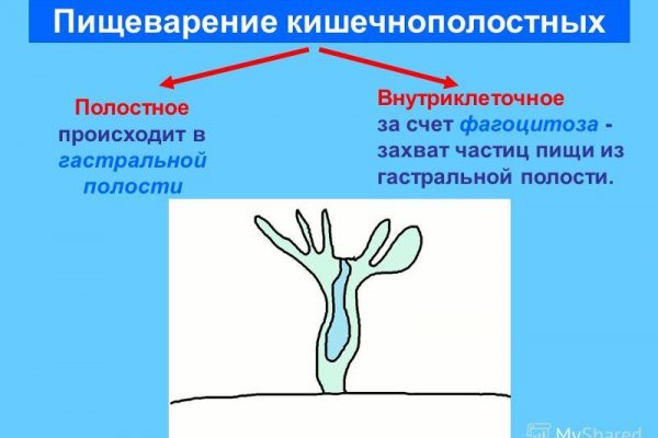 Кракен зеркало на тор