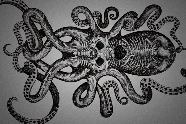 Kraken официальная ссылка
