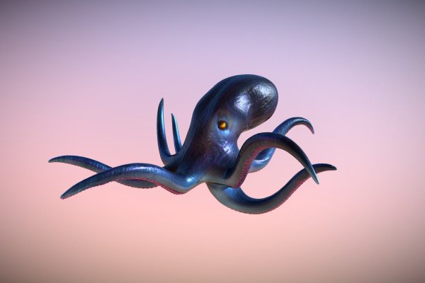 Kraken настоящая ссылка