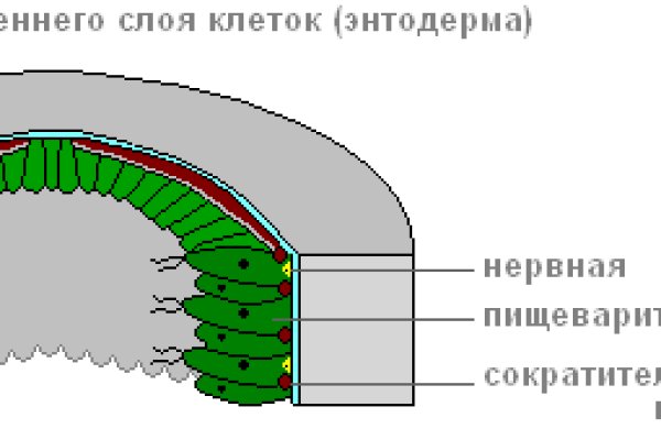 Кракен наркотики россия