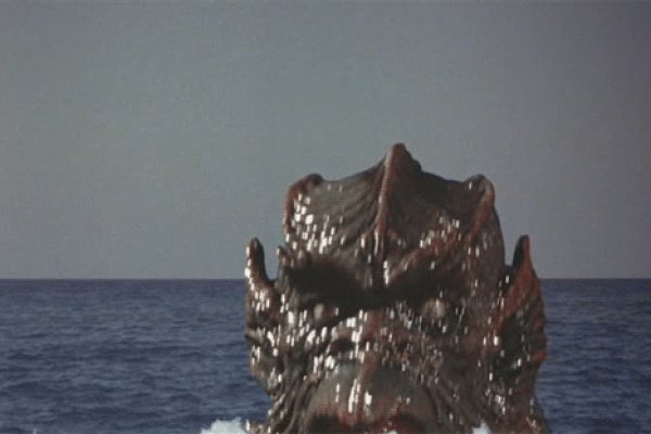 Kraken 5 at