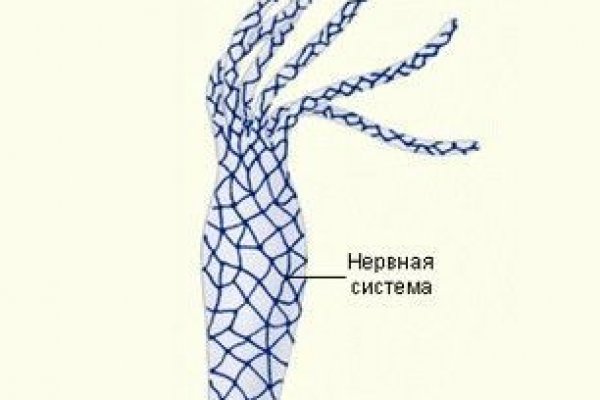 Кракен даркнет store kraken dark link