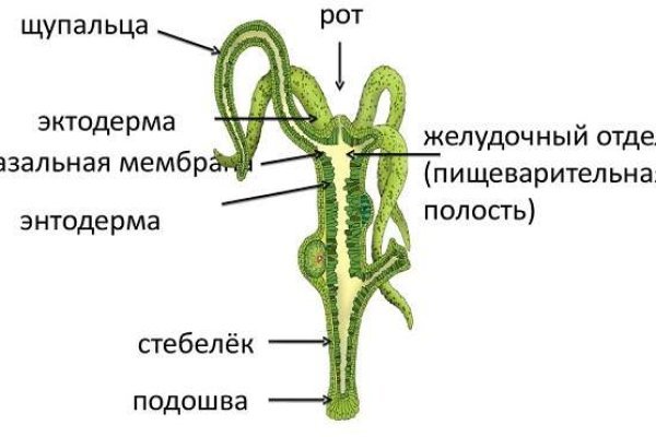 Кракен активная ссылка